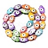 Freshwater Shell Beads Strands SHEL-T018-25-2