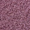 MIYUKI Round Rocailles Beads X-SEED-G007-RR1132-3