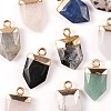 10Pcs 10 Style Natural Gemstone Pointed Pendants G-LS0002-04-5