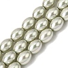 Electroplated Shell Pearl Beads Strands BSHE-B008-07A-1