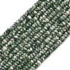 Natural Green Spot Jasper Beads Strands GG-CBAE4D4-A05-01-2