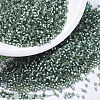 MIYUKI Delica Beads SEED-MY11-DB0689-1