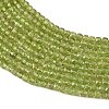 Natural Peridot Beads Strands G-K376-D03-4x4mm-4