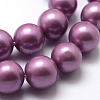 Polished Round Grade A Shell Pearl Bead Strands BSHE-M027-6mm-11-2