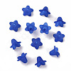 Transparent Acrylic Beads PLF018-10-2