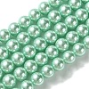 Eco-Friendly  Dyed Glass Pearl Round Bead Strands HY-A002-8mm-RB034-1