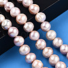 Natural Cultured Freshwater Pearl Beads Strands PEAR-N013-10B-2