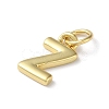 Rack Plating Brass Charms KK-P245-06G-Z-2