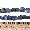 Natural Kyanite Beads Strands G-Q060-E17-5