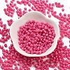 Baking Paint Glass Seed Beads SEED-A032-02M-2