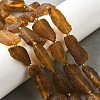 Raw Rough Natural Amber Beads Strands G-B125-C01-02-1
