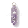 Natural Mixed Stone Double Terminal Pointed Pendants PALLOY-JF02673-2