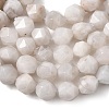 Natural Crazy Agate Beads Strands G-Z119-A12-01-6