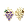 Alloy Enamel Pendants ENAM-D046-23G-01-1