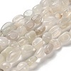 Natural White Moonstone Beads Strands G-P497-01E-69C-2