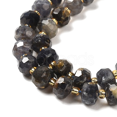 Natural Iolite Beads Strands G-P508-A12-01-1