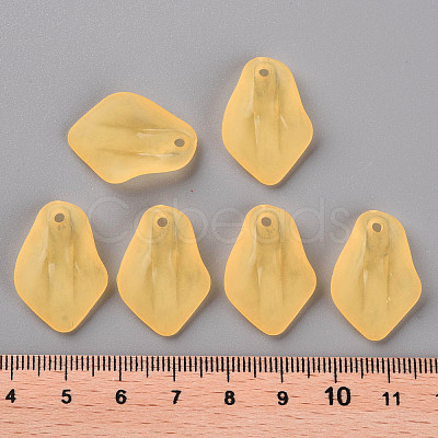 Transparent Frosted Acrylic Pendants MACR-S371-03A-719-1