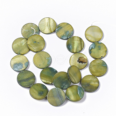 Freshwater Shell Beads Strands X-SHEL-T014-011D-1