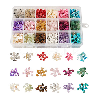 360g 18 Colors Freshwater Shell & Gemstone Chip Bead Sets G-CW0001-01-1