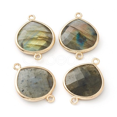 Labradorite Links Connectors G-B009-17G-1