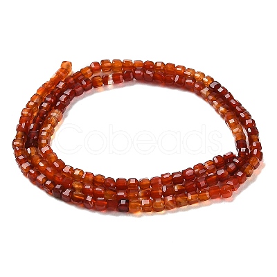 Natural Carnelian Beads Strands G-Q002-C01-02-1