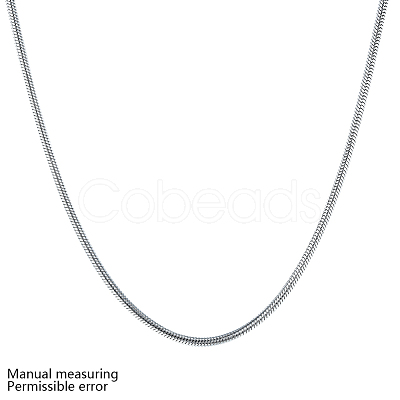 Non-Tarnish 316 Surgical Stainless Steel Snake Chain Necklaces NJEW-BB31289-24-1