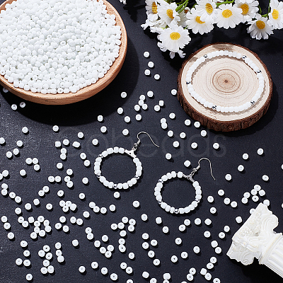 200G Glass Seed Beads SEED-SP0001-14B-01-1