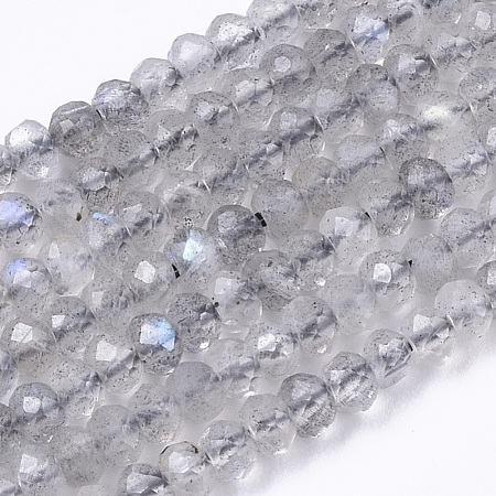 Natural Labradorite Beads Strands G-R462-019-1