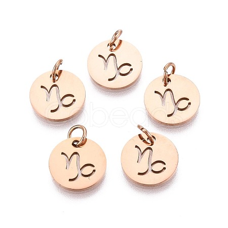 304 Stainless Steel Charms STAS-Q201-T445-10R-1