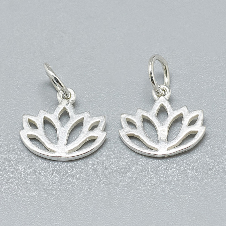 925 Sterling Silver Charms STER-T002-277S-1