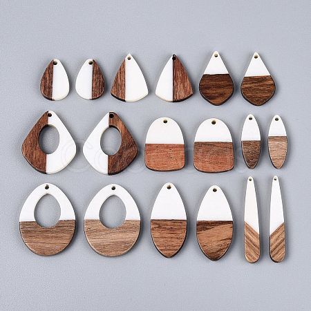 18Pcs 9 Styles Opaque Resin & Walnut Wood Pendants RESI-N053-24-1