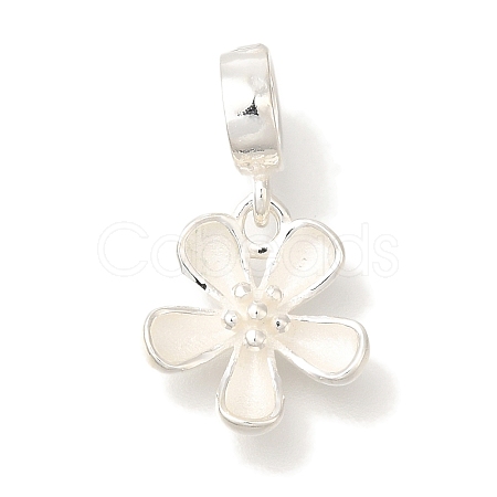 925 Sterling Silver European Dangle Charms STER-G043-07S-1