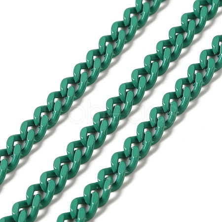 Spray Painted 304 Stainless Steel Curb Chains STAS-B067-05B-10-1