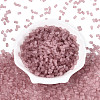 FGB Frosted Transparent Glass Seed Beads SEED-N013-05A-06-2