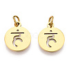 304 Stainless Steel Charms STAS-Q201-T446G-01-2