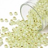 TOHO Round Seed Beads X-SEED-TR08-PF2109-1