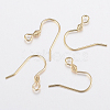 304 Stainless Steel Earring Hooks STAS-G179-45G-1
