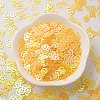 Ornament Accessories Plastic Paillette/Sequins Beads X-PVC-E001-13-RC02-4