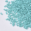 FGB 11/0 Grade A Glass Seed Beads X-SEED-S030-0729-2