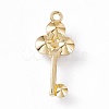 Alloy Pendants PALLOY-P287-15KCG-2
