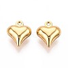 304 Stainless Steel Charms STAS-N118-12G-1