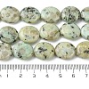 Natural Sesame Jasper Beads Strands G-K365-B16-03-5