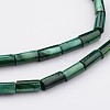 Natural Shell Bead Strands BSHE-P016-13-3