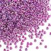 MIYUKI Round Rocailles Beads X-SEED-G007-RR0264-1