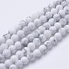 Natural Howlite Beads Strands G-T055-6mm-02-1