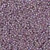 TOHO Round Seed Beads SEED-JPTR11-0166F-2