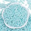 Opaque Colours Luster Glass Seed Beads SEED-K010-04E-3