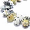 Natural White African Opal Beads Strands G-F715-037-3