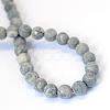 Frosted Natural Polychrome Jasper/Picasso Stone/Picasso Jasper Beads Strands G-E334-6mm-24-3