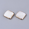 Edge Golden Plated Freshwater Shell Beads SHEL-S276-47-2